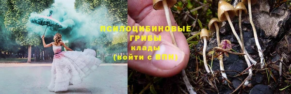 мяу мяу мука Арсеньев