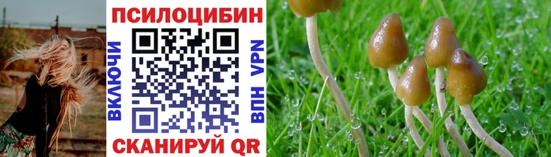 маркетплейс телеграм  купить наркотик  Ряжск  Псилоцибиновые грибы прущие грибы 